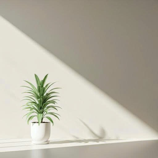 Decorative calm interior with potted plant and soft diagonal sunlight